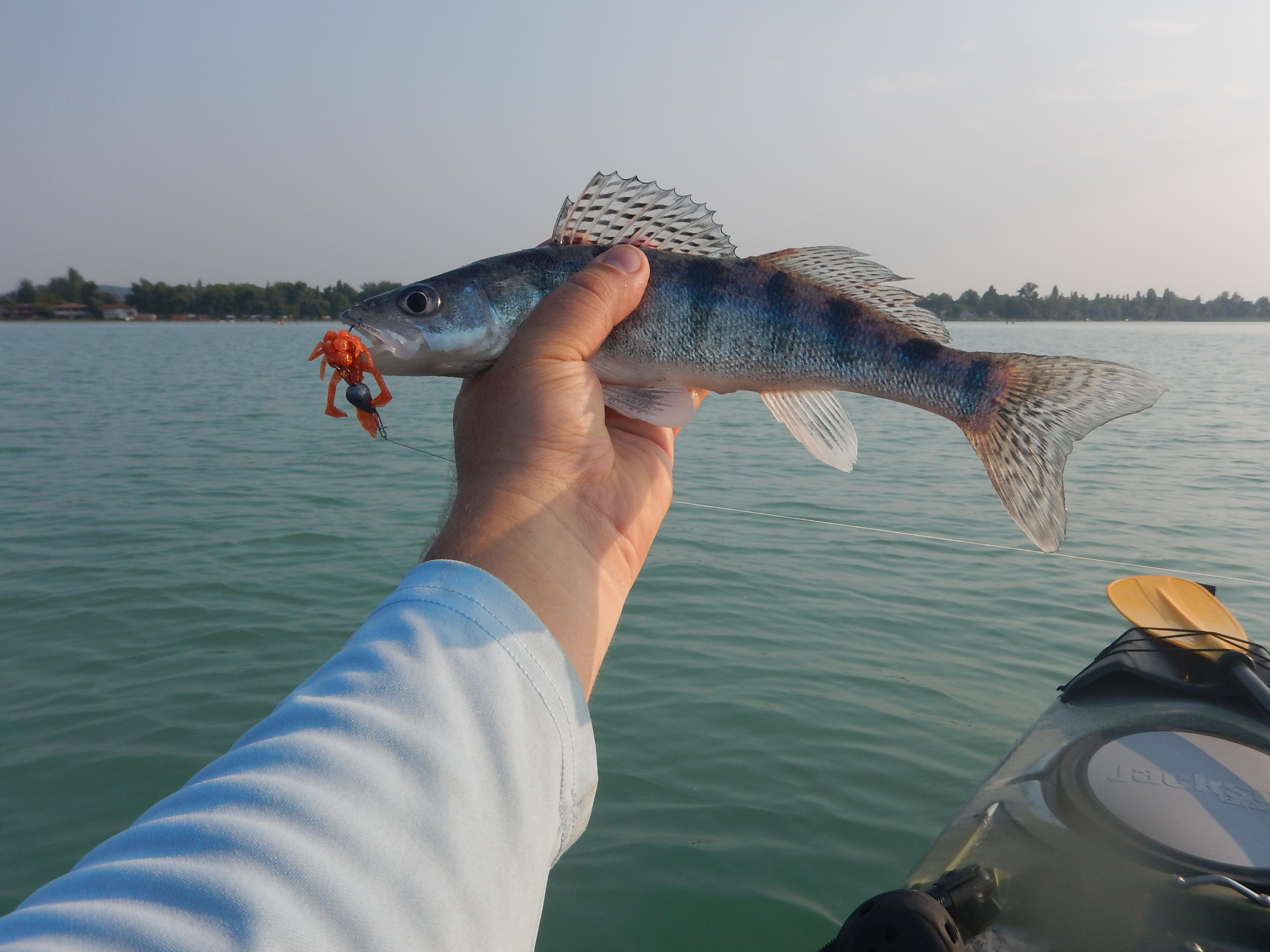 Kajakos kősüllő Balatonból